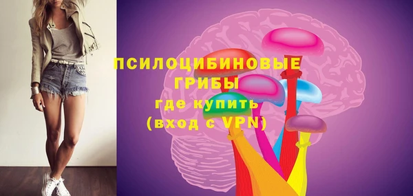 метадон Арсеньев